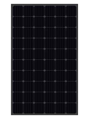 Seraphim 310W Label Black Energreen